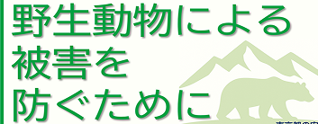 防災体験が出来るイベントなどを紹介